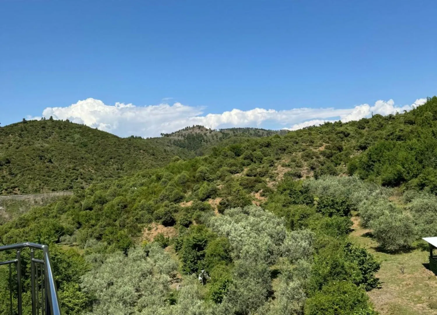 Qyteza Guest House & Camping Shkodër 0*,  Albanie