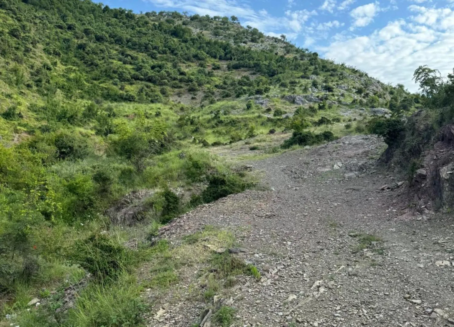 Appartement Qyteza Guest House & Camping Shkodër Albanie